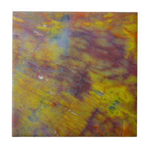 Carreau Bois pétrifié