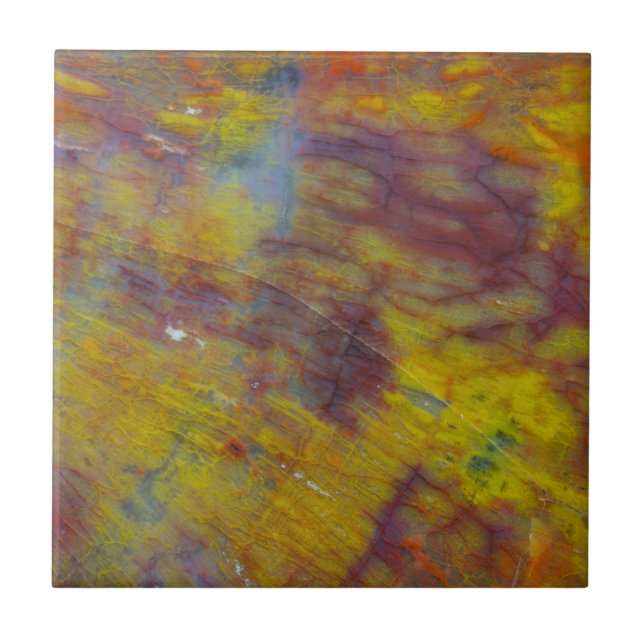 Carreau Bois pétrifié (Devant)