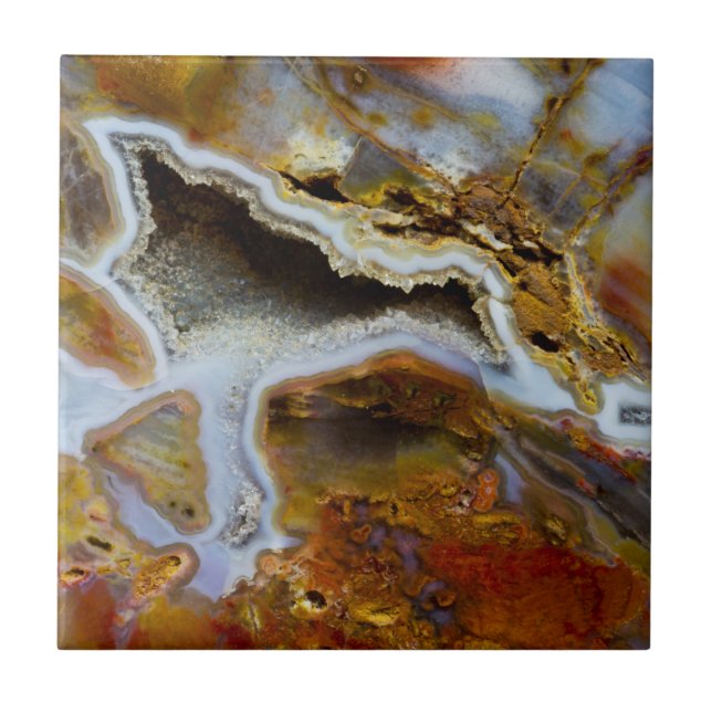 Carreau Bois pétrifié aux cristaux (Devant)