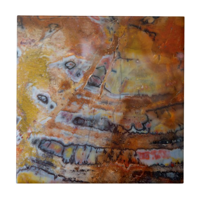 Carreau Bois pétrifié Brown (Devant)