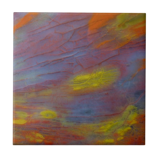 Carreau Bois Pétrifié de près (Devant)