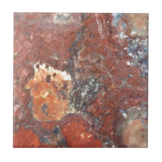 Carreau Bois Petrified d'AZ