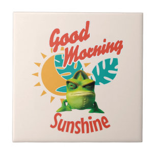 Carreau Bonjour Soleil Lézard Drôle