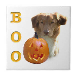 Carreau BOO Halloween en Nouvelle-Écosse