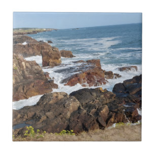 Carreau Bord de mer français en Vendée