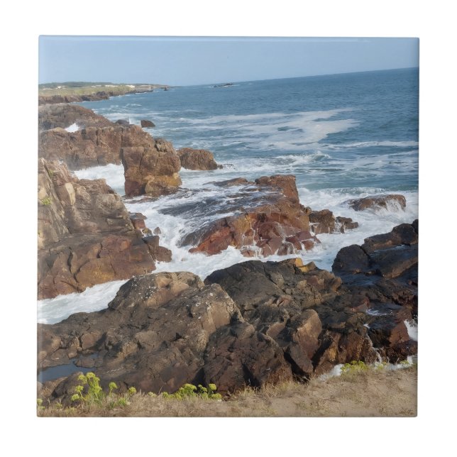 Carreau Bord de mer français en Vendée (Devant)