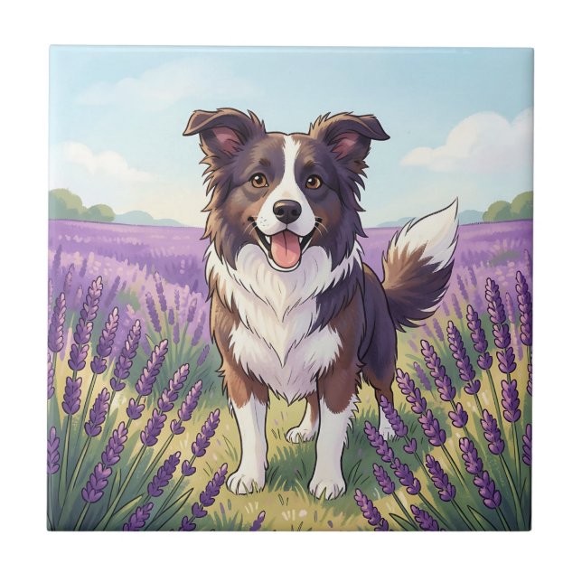 Carreau Border Collie Heureux Champ de Lavande (Devant)