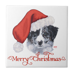 Carreau Border Collie Noël