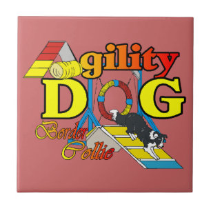 Carreau Bordure Collie Agilité