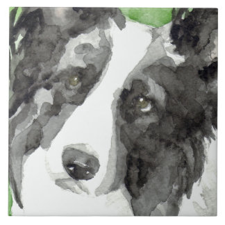 Carreau Bordure Collie Aquarelle