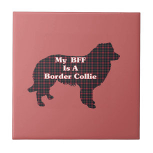 Carreau Bordure Collie BFF