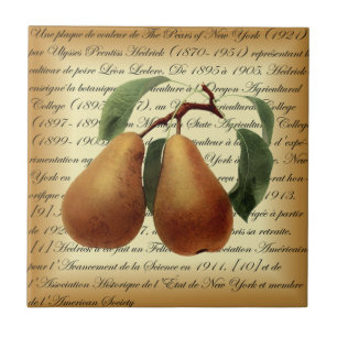 Carreau Bosc Pears~Léon Leclerc~Ulysses Prentiss Hedrick~