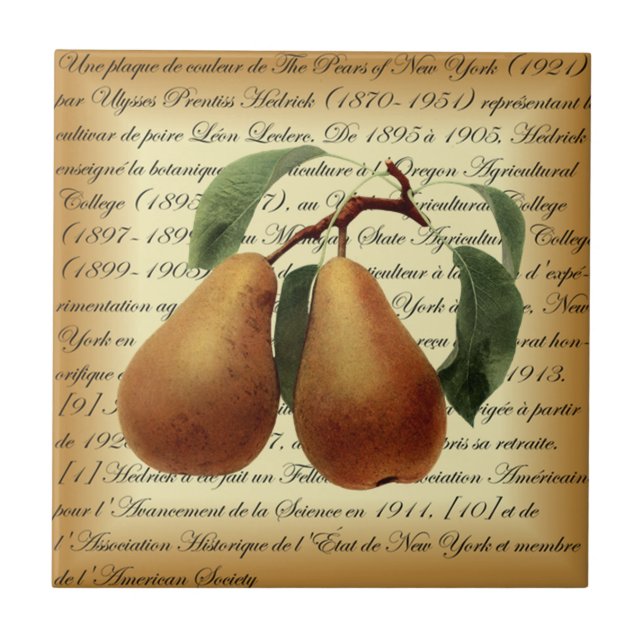 Carreau Bosc Pears~Léon Leclerc~Ulysses Prentiss Hedrick~ (Devant)