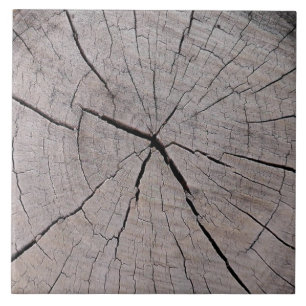 Carreau bosse d'arbre rustique arrière - plan naturel