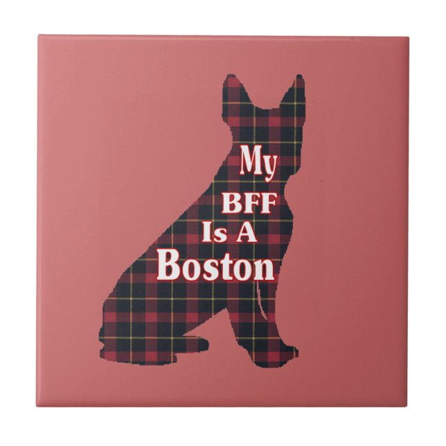 Carreau Boston Terrier BFF (Devant)