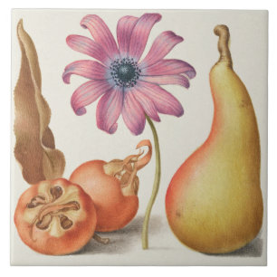 Carreau Botanique vintage