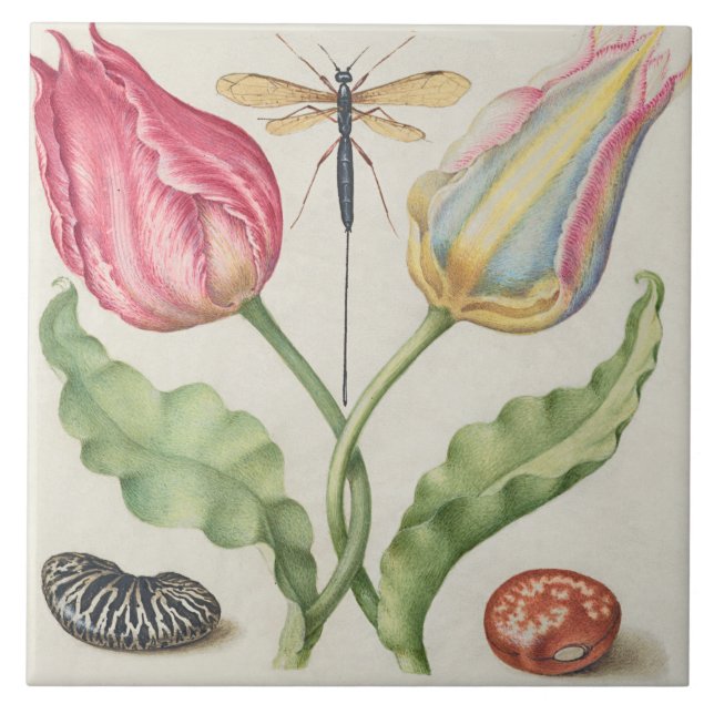 Carreau Botanique vintage  (Devant)