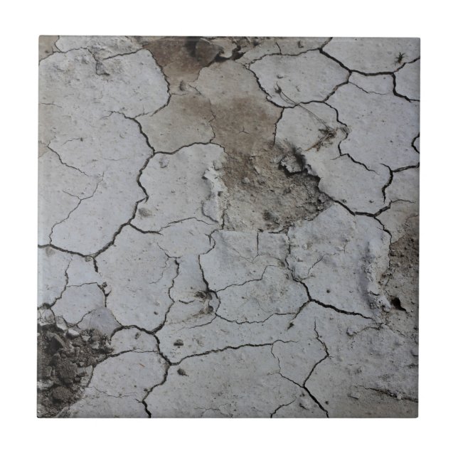 Carreau Botswana Paysage Sel Pans Cracké Boue Sèche (Devant)