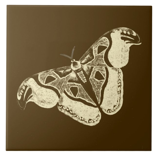 Carreau Bouche tzigane, chocolat brun et beige (Devant)