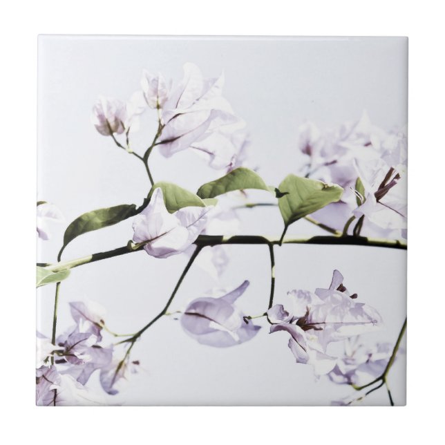 Carreau Bougainvillea (Devant)