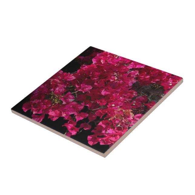 Carreau Bougainvillée Rouge Arbuste Grimpant Tropical Phot (Côté)