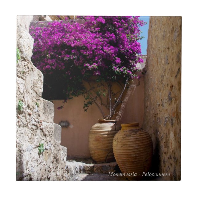 Carreau Bougainvilliers en amphorah (Devant)