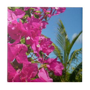 Carreau Bougainvilliers et palmiers paysage tropical