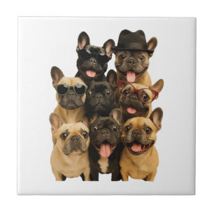 Carreau Bouledogue français