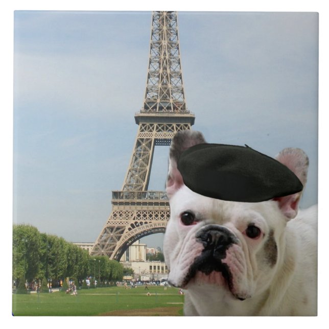 Carreau Bouledogue français à Paris (Devant)