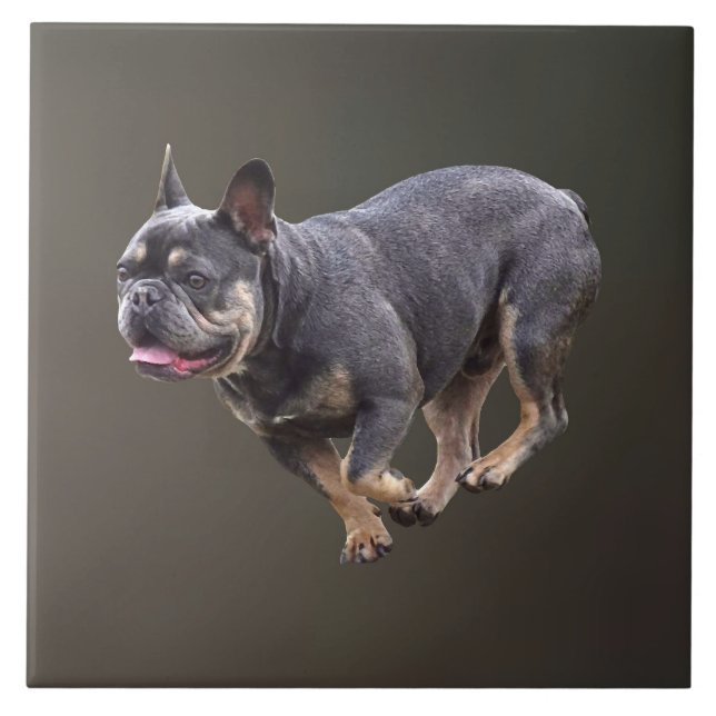 Carreau Bouledogue français en course (Devant)