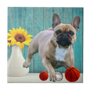 Carreau Bouledogue français tournesol French Bulldog