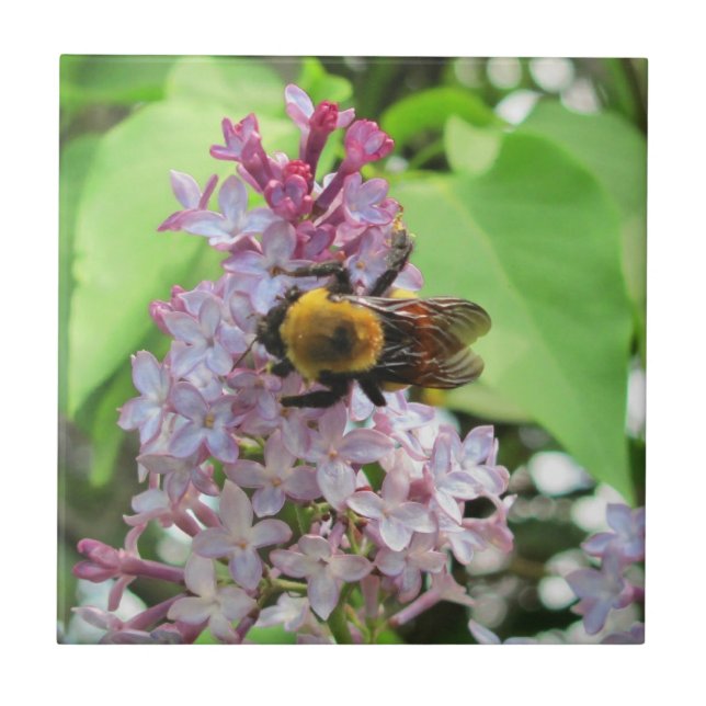 Carreau Bourdon sur lilas (Devant)
