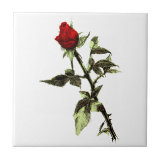 Carreau Bourgeon du rose rouge