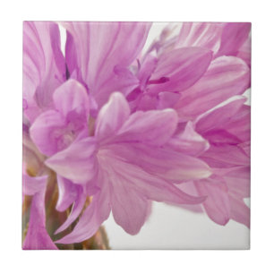 Carreau Bouton de mise à jour