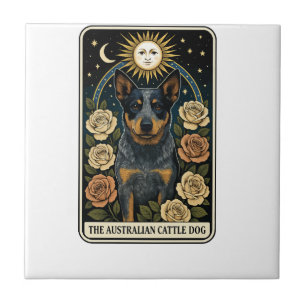 Carreau Bovins australiens