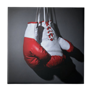 Carreau Boxing gloves