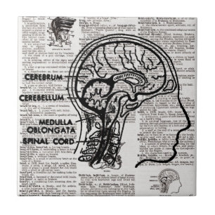 Carreau Brain Dictionary Art