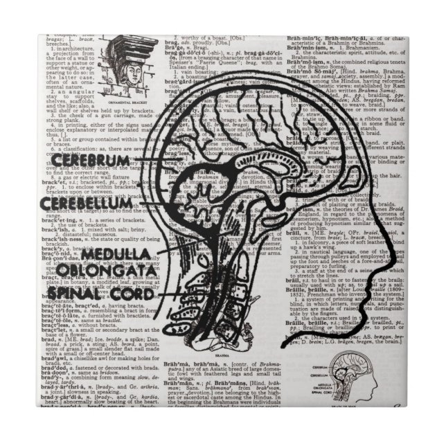Carreau Brain Dictionary Art (Devant)