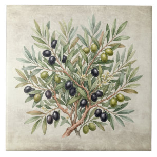 Carreau Branche d'olive Toscane Italie Aquarelles Rustique