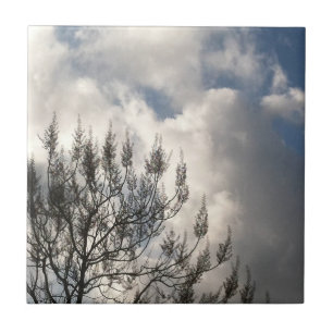 Carreau Branches dans les nuages
