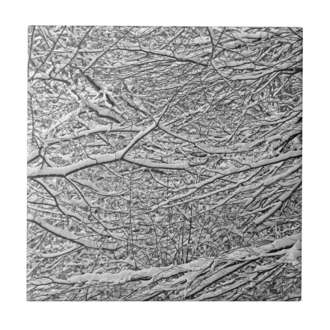 Carreau Branches de neige (Devant)