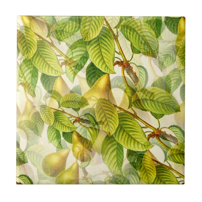 Carreau Branches de poires et Motif de poires  (Devant)