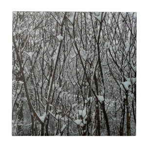 Carreau Branches enneigées Hiver Abstrait