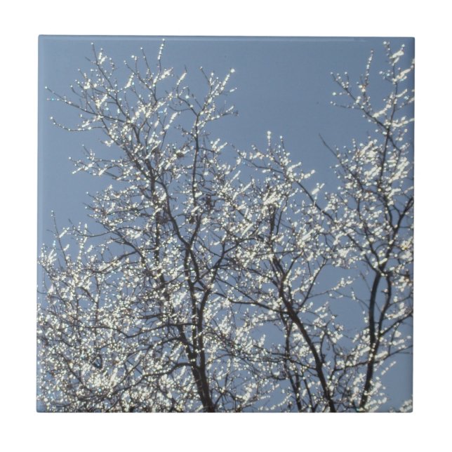 Carreau Branches Icy dans le ciel bleu d'hiver (Devant)