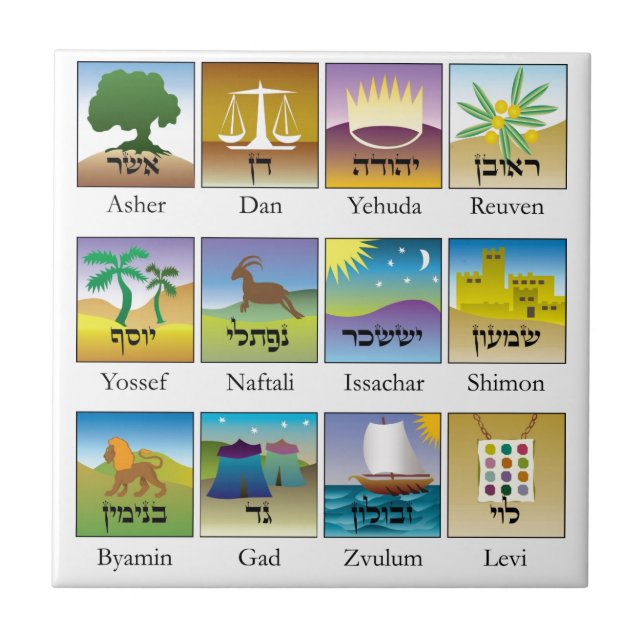 Carreau Brasões DAS somnolent le conforme de Tribos De (Devant)