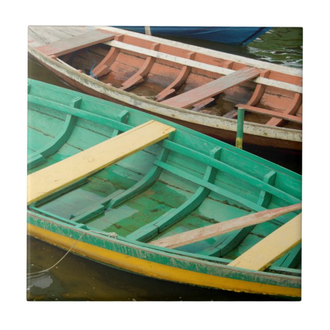 Carreau Brésil, Amazonie, Alter Do Chao 2 (Devant)