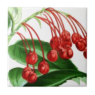 Carreau Brin des baies rouges, copie vintage