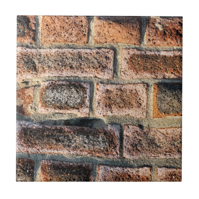 CARREAU BRIQUES (Devant)