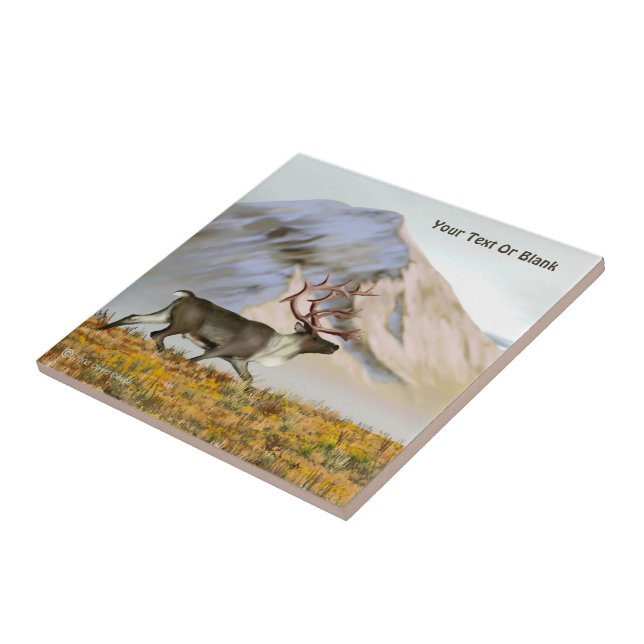 Carreau Brooks Range Caribou (Côté)
