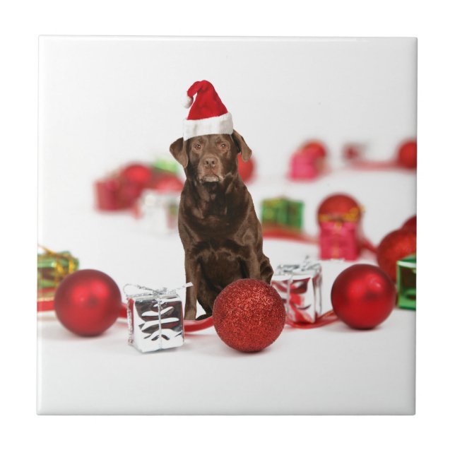 Carreau Brown Labrador Chien Noël w Cadeaux Santa Hat (Devant)